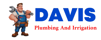 Trusted plumber in EDEN